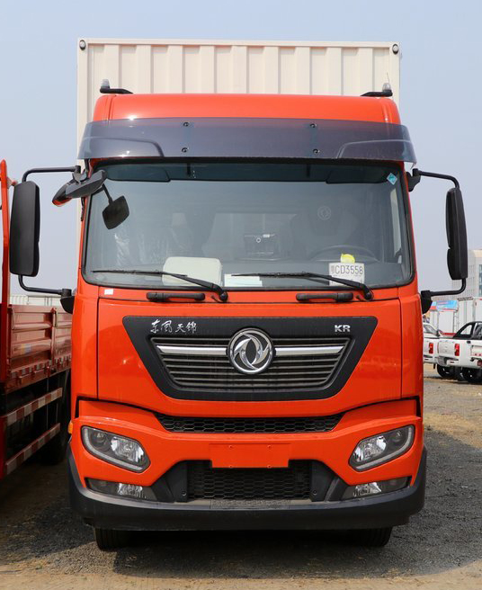 DONGFENG  _3