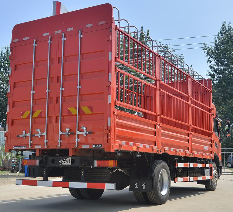 DONGFENG  _6