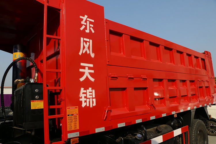 DongFeng _8