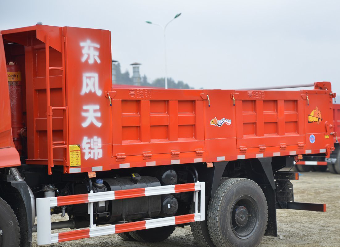 Dongfeng  _11